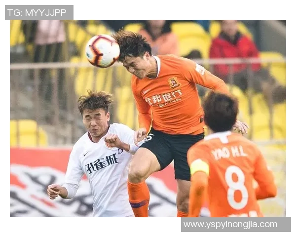 苏州黑豹足球俱乐部：奋勇争先展现青春风采与团队精神