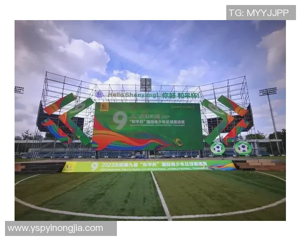 足球之美在于激情与梦想交织的瞬间与永恒