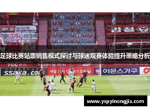 足球比赛站票销售模式探讨与球迷观赛体验提升策略分析