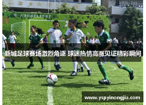 新城足球赛场激烈角逐 球迷热情高涨见证精彩瞬间