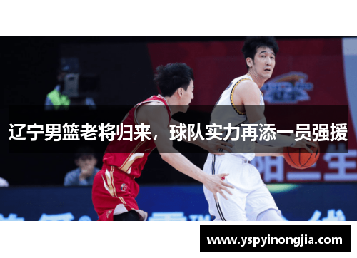 辽宁男篮老将归来，球队实力再添一员强援