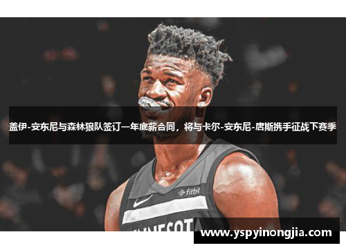 盖伊-安东尼与森林狼队签订一年底薪合同，将与卡尔-安东尼-唐斯携手征战下赛季