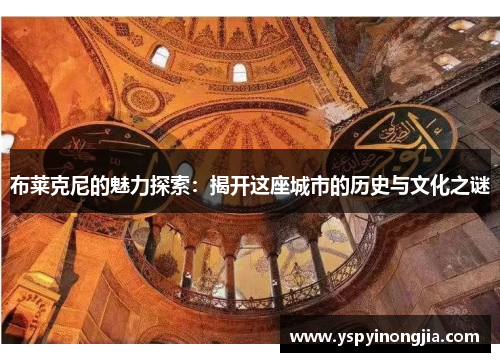 布莱克尼的魅力探索：揭开这座城市的历史与文化之谜