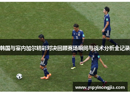 韩国与塞内加尔精彩对决回顾赛场瞬间与战术分析全记录
