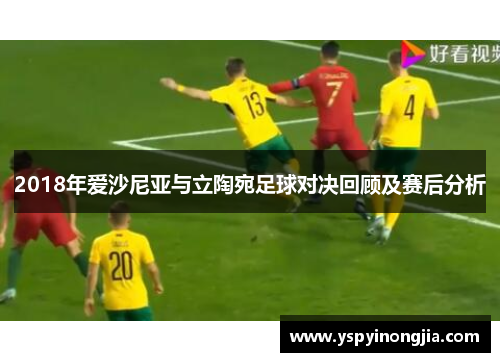 2018年爱沙尼亚与立陶宛足球对决回顾及赛后分析