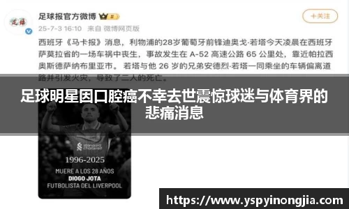 zoty中欧体育官方网站